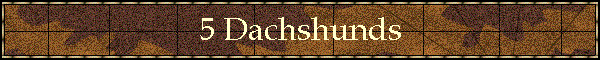 5 Dachshunds
